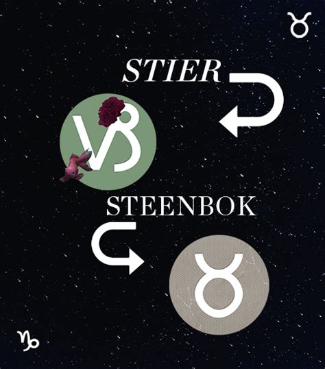 stier en steenbok relatie|Stier en Steenbok compatibiliteit: Een match in de praktische。